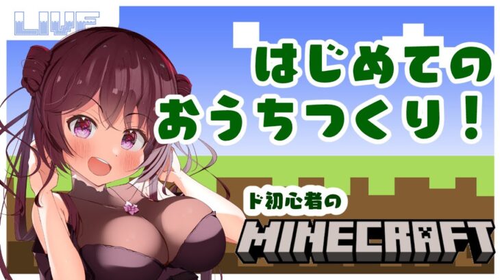 【マインクラフト】はじめてのおうちつくりしながら雑談♪水に浮かんだ家がつくりたい！【Vtuber】