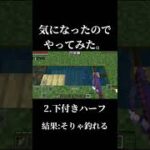 今更だけど、マイクラで気になる事を試してみた。 #shorts  #minecraft #マイクラ