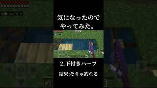 今更だけど、マイクラで気になる事を試してみた。 #shorts  #minecraft #マイクラ