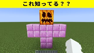 マイクラ意外と知らないゴーレムの種類【ゆっくり解説】