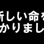 新しい命を授かりました　そして今後について