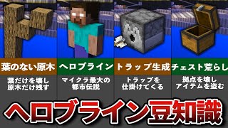 マイクラ意外と知らないヘロブラインの豆知識と雑学【都市伝説】【ゆっくり解説】