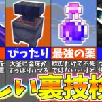 【マイクラ】海外の怪しすぎる裏技を検証したら衝撃すぎたｗｗｗ【まいくら・マインクラフト】