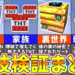 【マイクラ】ウソ？本当？衝撃のバグ裏技を徹底検証した結果！？【一気見まとめ】【まいくら・マインクラフト】