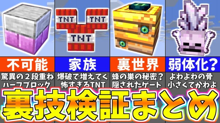 【マイクラ】ウソ？本当？衝撃のバグ裏技を徹底検証した結果！？【一気見まとめ】【まいくら・マインクラフト】