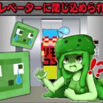 【マイクラ】エレベーターの中に閉じ込められたモブ達を助けるサバイバルしたらヤバすぎた！？