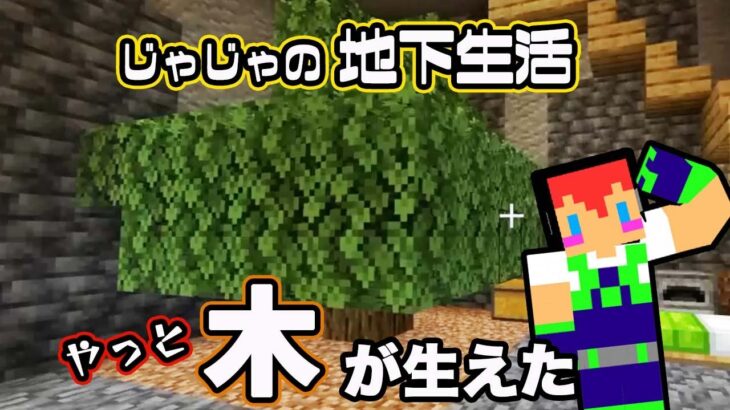 【ゼロからマイクラ】地下生活で初めての木が生えた！じゃじゃ友サーバー