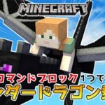 【マイクラスイッチ版】コマンドブロック１つでエンダードラゴンに乗る方法【マインクラフト/統合版】