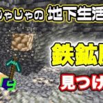 【ゼロからマイクラ】鉄鉱脈見つけた！：じゃじゃ友サーバー