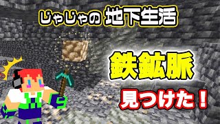 【ゼロからマイクラ】鉄鉱脈見つけた！：じゃじゃ友サーバー