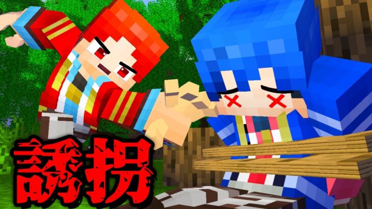 怪盗兄弟の脱出が天才的すぎた、、、ミスターレッドブル【マイクラ・マインクラフト】