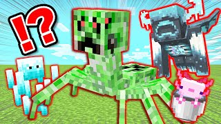 【マイクラ】特殊なモンスターがいる世界でマインクラフト！