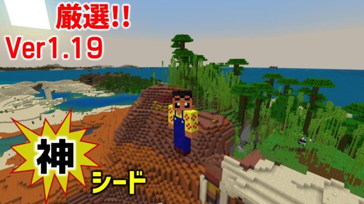 【マイクラ神シード】５つのバイオームと村のある孤島にスポーン！。これだけでも楽しめる。初心者も必見です！(019)【統合版1.19.31】