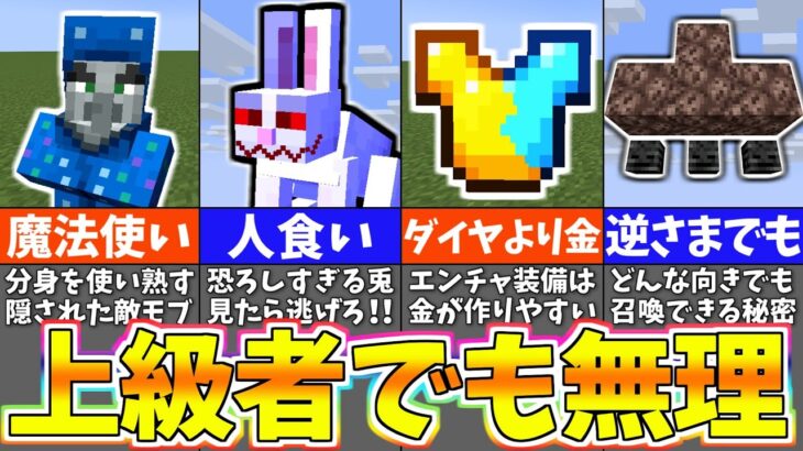 【マイクラ1.19】上級者でも知らないマイクラ雑学９選【まいくら・マインクラフト】