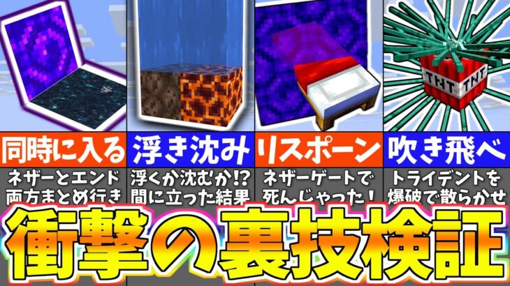 【マイクラ1.19】どうなる！？気になる謎を検証したらまさかの結果に…ｗｗｗ【まいくら・マインクラフト】