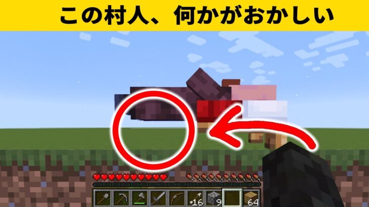 マイクラ1.19の隠されたバグ技13選【ゆっくり解説】