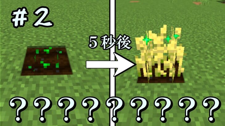 【マイクラマルチ】何かがおかしい世界で100日生活＃２【ゆっくり実況】