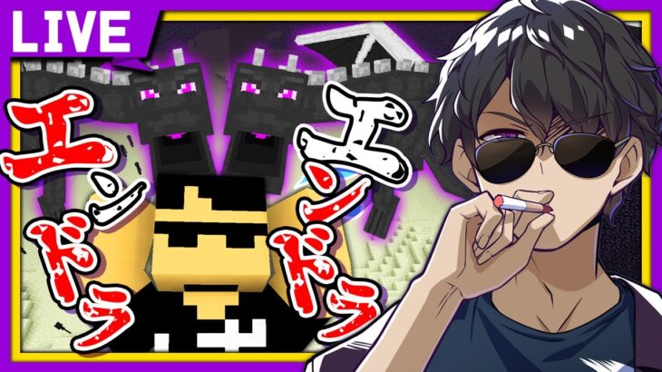 【マイクラ生放送】罰ゲーム！エンドラ討伐2周します！