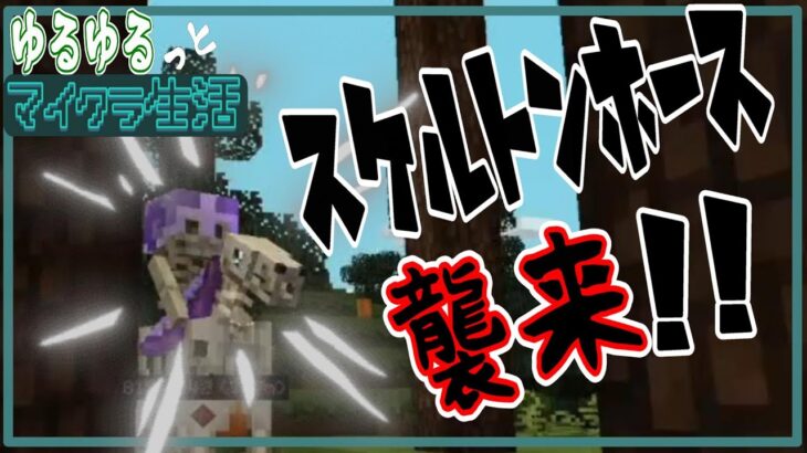 #2 スケホ襲来!! そして影MODが使えなく…[Minecraft][シャずクラ][ゆるクラ]