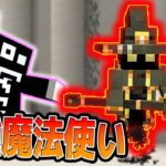 #33【マイクラ】全滅！！平和島の最下層に封印されし最強の魔法使いボス！！【あくまで個人戦クラフト】スカイブロック The Sky Blessing