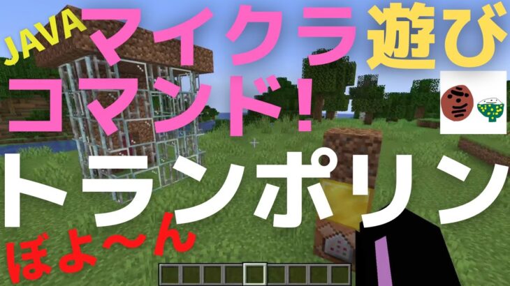 小4解説【マイクラコマンド】トランポリン！JAVA版【マインクラフト/MINECRAFT】Vol.059