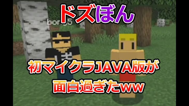 超初心者時代のドズぼん初マイクラJAVA配信が面白すぎたｗｗｗ【ドズル社／切り抜き】