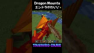エンドラがかわいい☆エンドラを飼育できるMOD【Dragon Mounts】【マイクラ・まいくら】#shorts