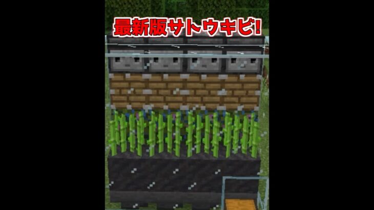 超最新版！簡単サトウキビ収穫機【マイクラ】【Minecraft】