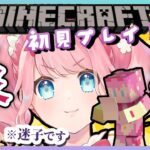 【マイクラ】お外に出なさすぎるのでゲーム内散歩する #迷クラ 初見プレイ実況【#Minecraft】#雑談配信 神戸いちご #新人Vtuber