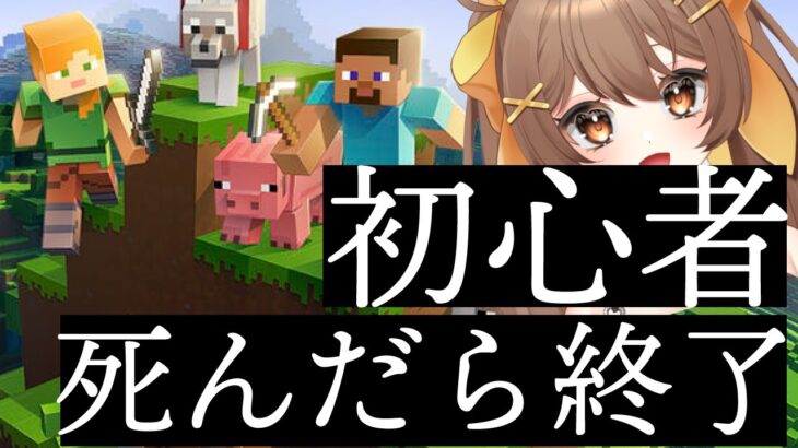【Minecraft】死んだら終了！？方向音痴初心者が家を作りたいマイクラ雑談配信　5【新人Vtuber / 煮霧てあ】