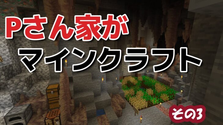 Pさん家がマインクラフトその3