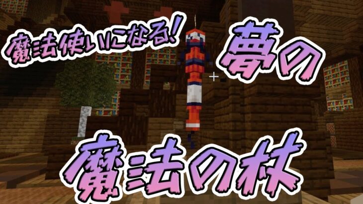 【魔法使いマイクラ】マイクラで魔法の杖を使える世界！！！#Shorts　#minecraft  #マインクラフト  #マイクラ統合版 【マイクラ】【Minecraft】
