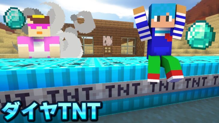 友達の家をダイヤモンドTNTで爆発して幸せにしてみた！【マイクラ / マインクラフト】