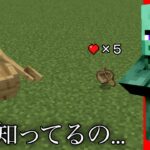 【マイクラ】実は存在していたアイテムのhpが…   ～普通誰も知らない雑学３選～　【マインクラフト1.19】【Swith対応】【小ネタ】【検証】【衝撃】【コマンド】#マイクラウラ技