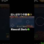 minecraftshorts！(Minecraft)田んぼ作り作業😁🌾マイクラ#Shorts