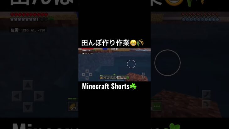 minecraftshorts！(Minecraft)田んぼ作り作業😁🌾マイクラ#Shorts