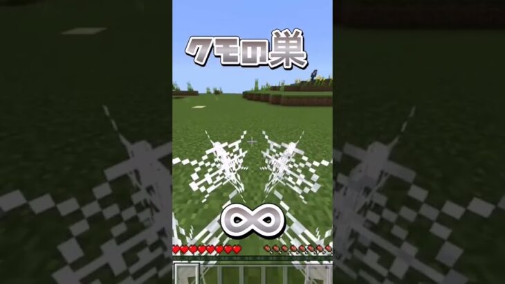 【検証】マイクラどのくらいの高さまで耐えられる？【マイクラ】【マインクラフト】#shorts #マインクラフト #minecraftshorts #マイクラ #minecraft