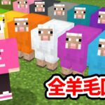 ゴラクバ！だったら２時間で羊毛全種類集められるよね？【マイクラ】