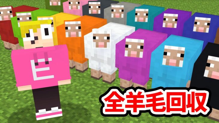 ゴラクバ！だったら２時間で羊毛全種類集められるよね？【マイクラ】