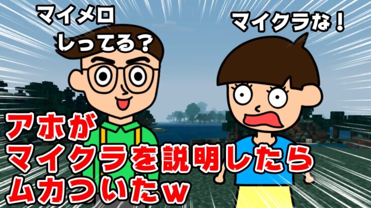 【アニメ】アホがマイクラを説明したらムカついたｗｗｗ【つっこみ君】