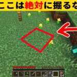 マイクラ統合版の超激レアなシード値７選　【ゆっくり解説】