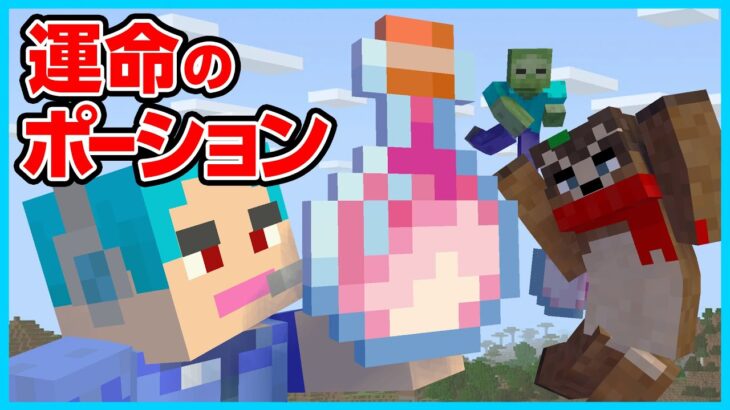 【マイクラ】右左どっち！能力アップのポーションを選べ！