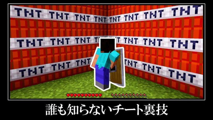 【衝撃】マイクラ統合版の隠されたバグ裏技＆小ネタ１０選