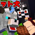 ロボットの犬と友達になる？？？【マイクラ・マインクラフト】