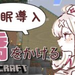 【マイクラ】睡眠導入！おしゃれな橋をかける【健屋花那/にじさんじ】