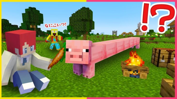 長ーーいブタに荒らされるドッキリｗｗ🐷【まいくら・マインクラフト】