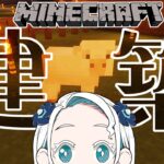 【マインクラフト】豚小屋建築🐷【羽渦ミウネル】