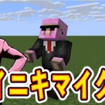 【ワイニキマイクラ】一人でエリトラ取りに行こうぜ？！！！