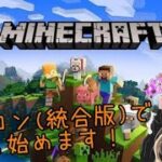 【マイクラ統合版】フレンドさんは参加オッケー　整地しながら雑談