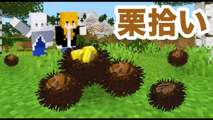 絶対におかしい栗拾い